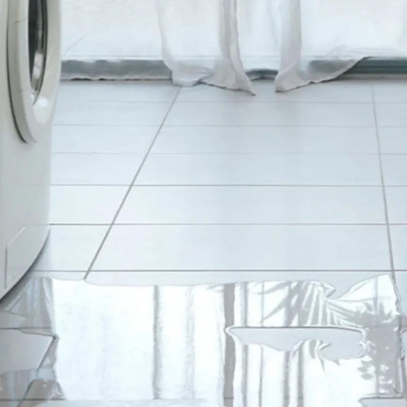 Appliance Leak Cleanup in Warrenton, NC