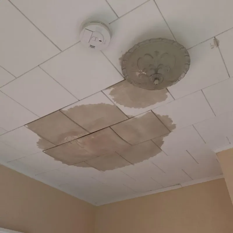 Ceiling Water Damage Repair in Warrenton, NC