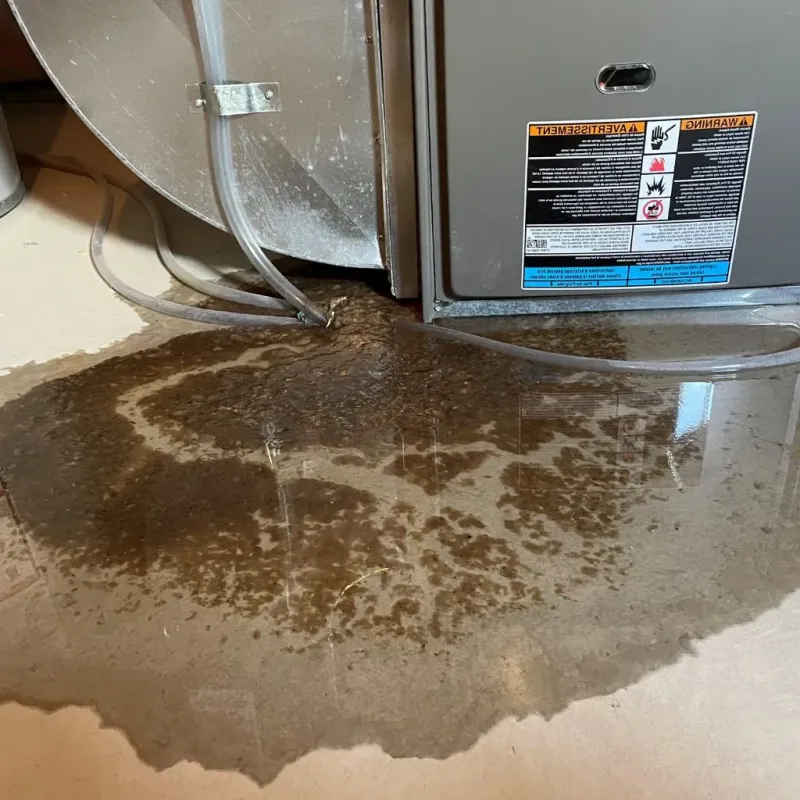 Pipe Burst and Leak Restoration in Warrenton, NC
