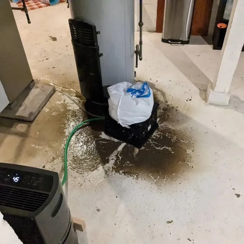 Sewage Backup Cleanup Service in Warrenton, NC